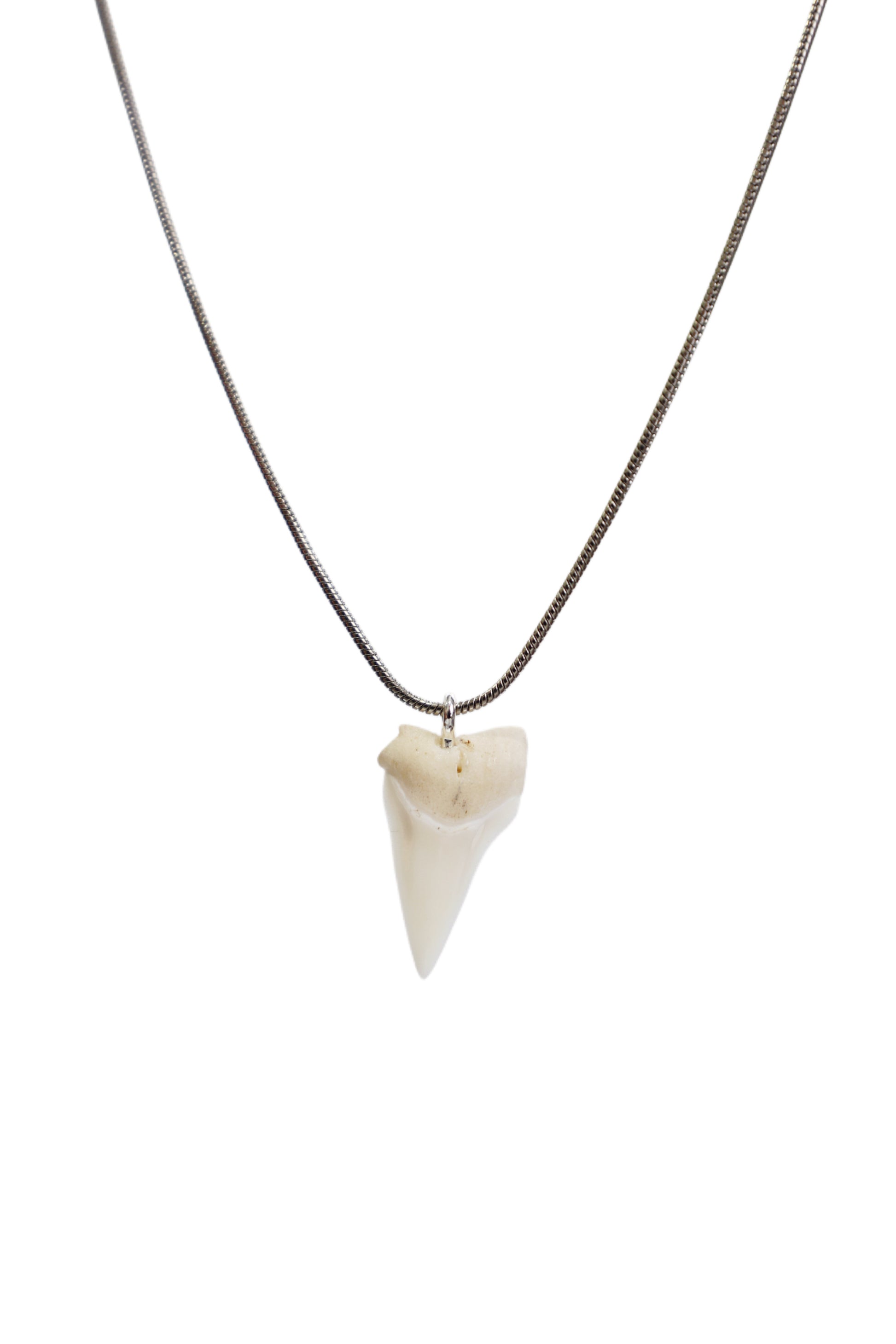 Snake Chain Shark Tooth Necklace