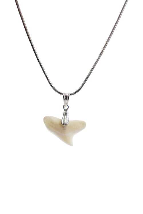 Classic Shark Tooth Necklace