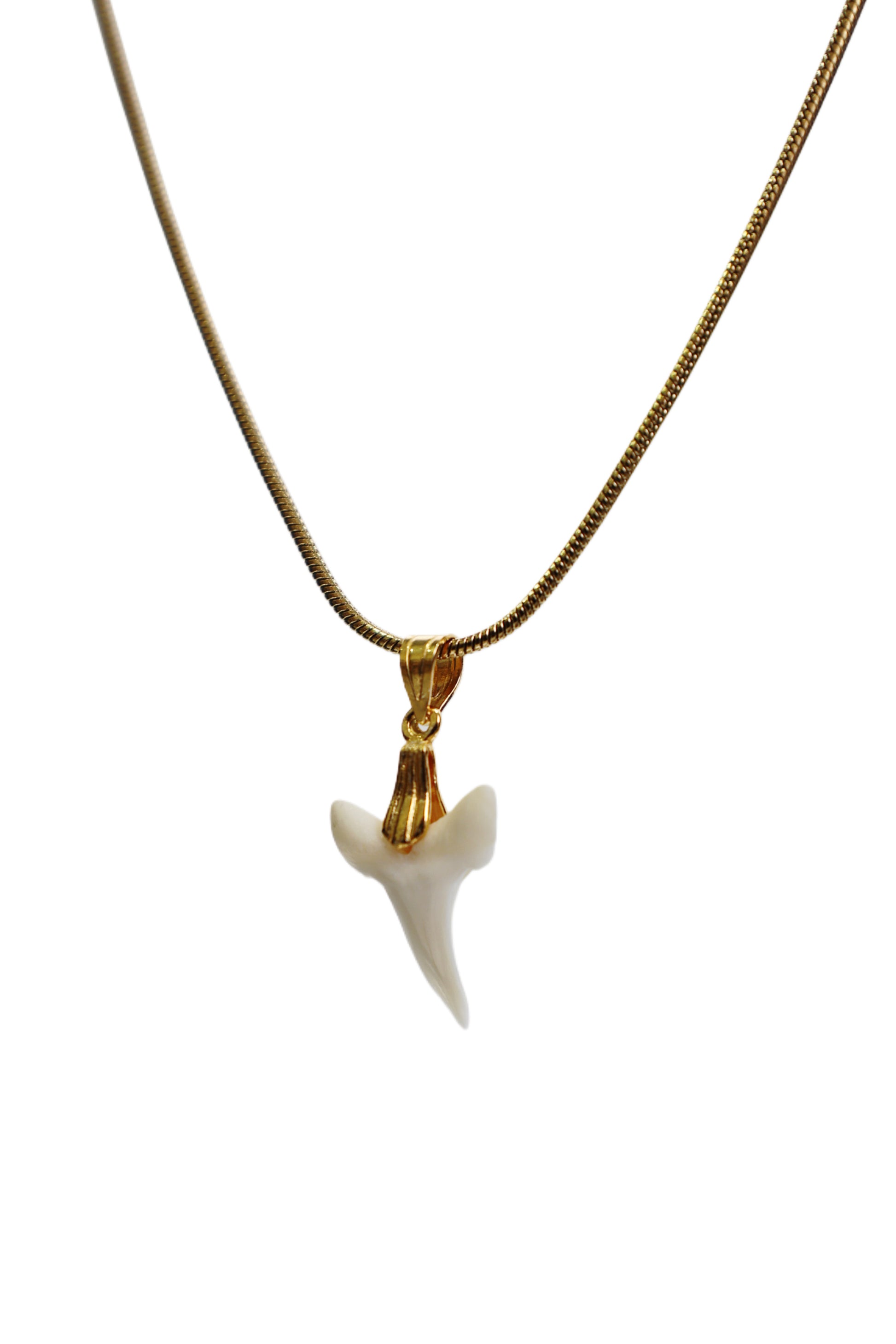 Classic Gold Shark Tooth Necklace
