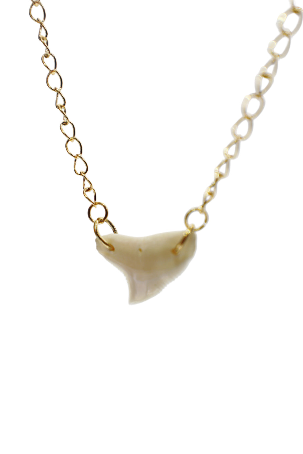 Double Drilled Gold Shark Tooth Necklace