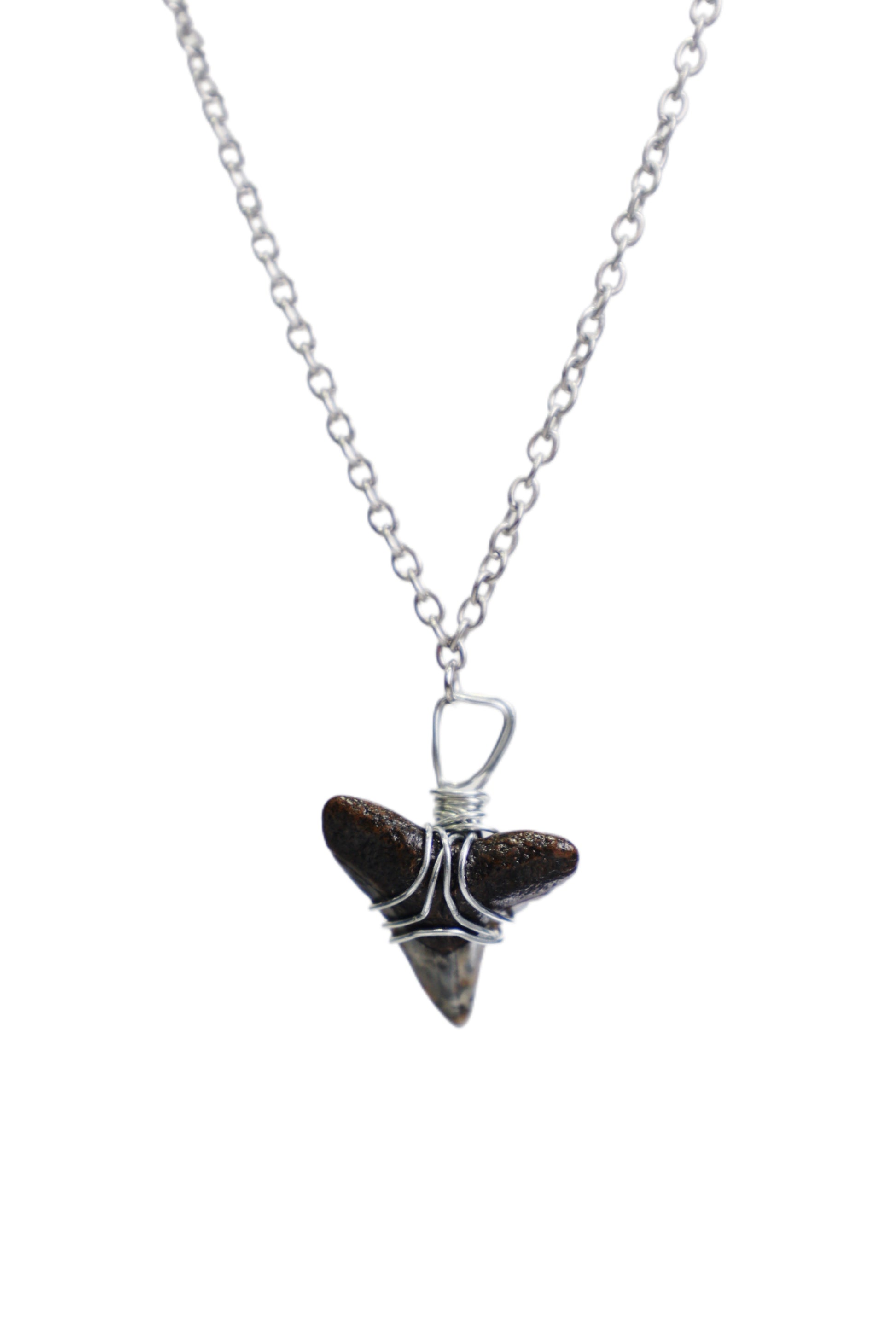 Hand Wrapped Shark Tooth Necklace