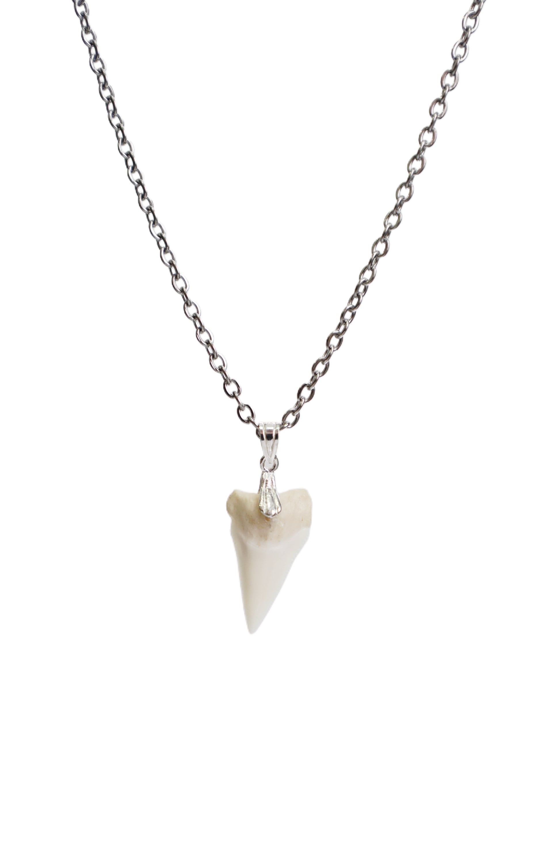 Link Cable - Shark Tooth Necklace