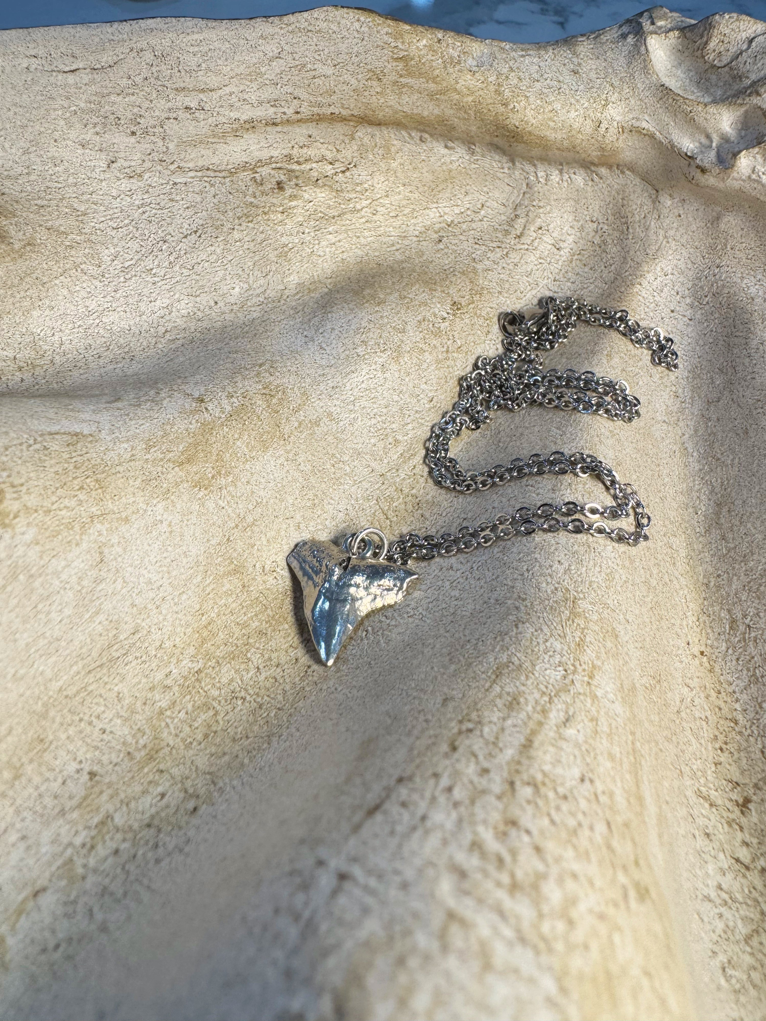 Silver Tide