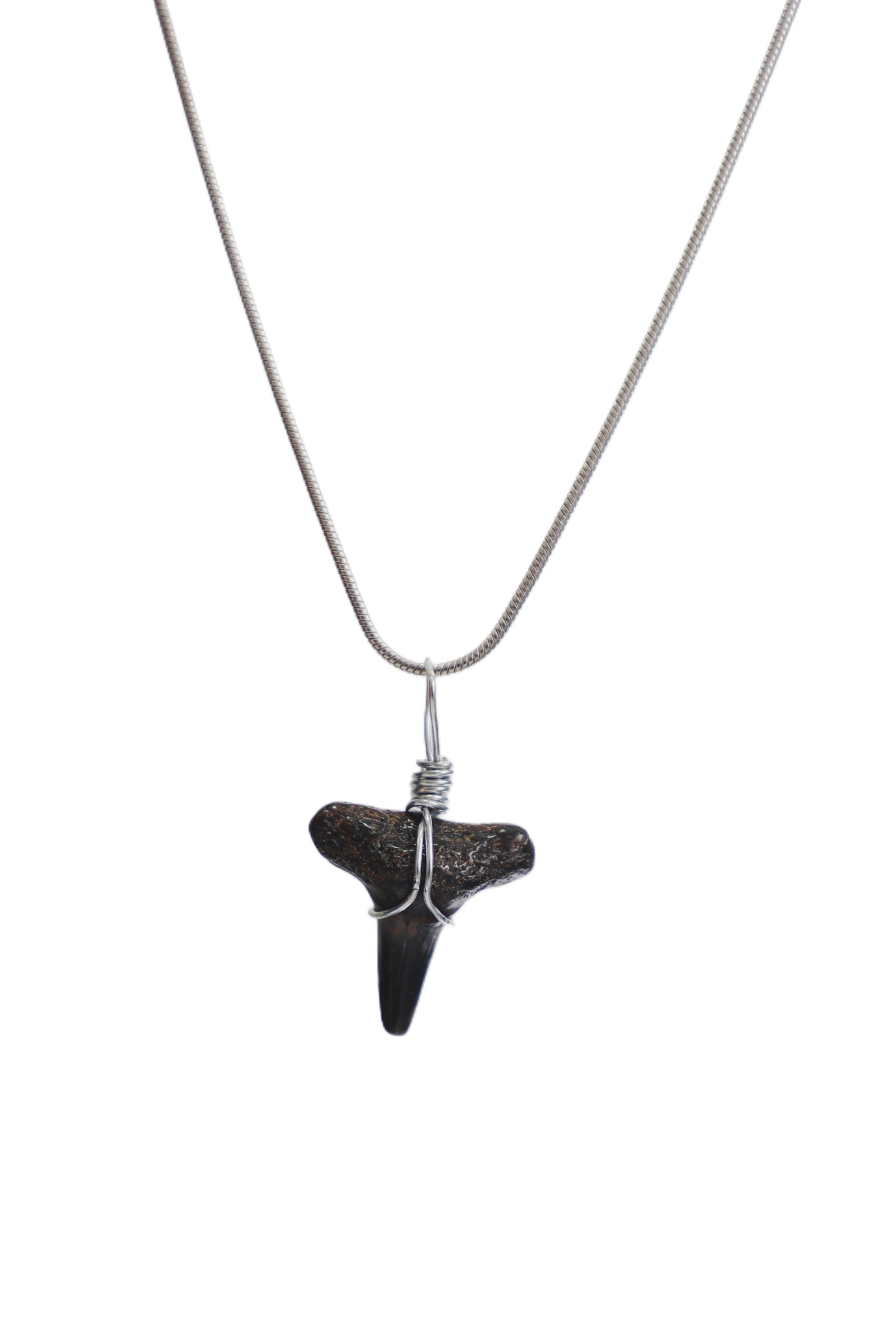 Classic Shark Tooth Necklace