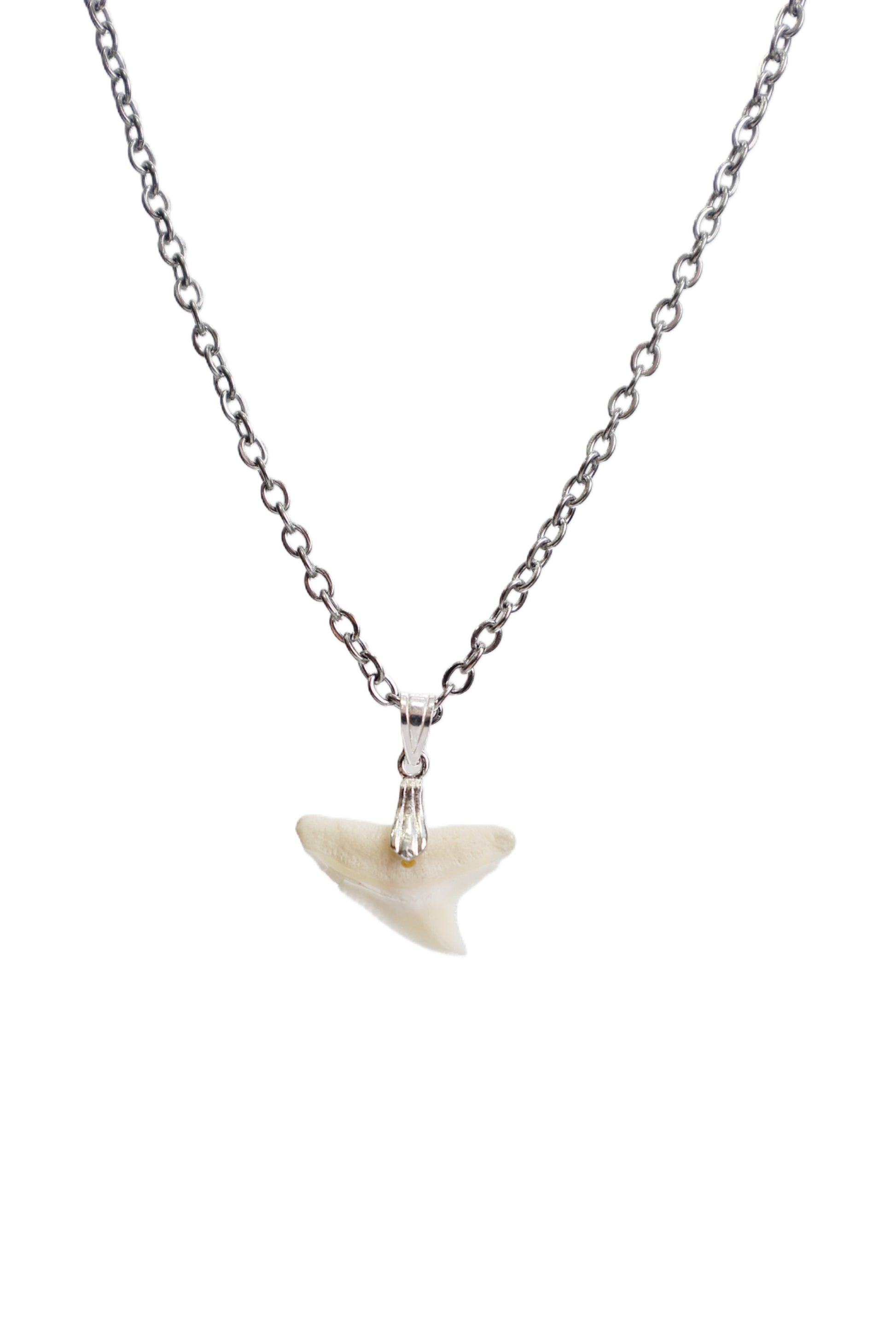 Link Cable - Shark Tooth Necklace