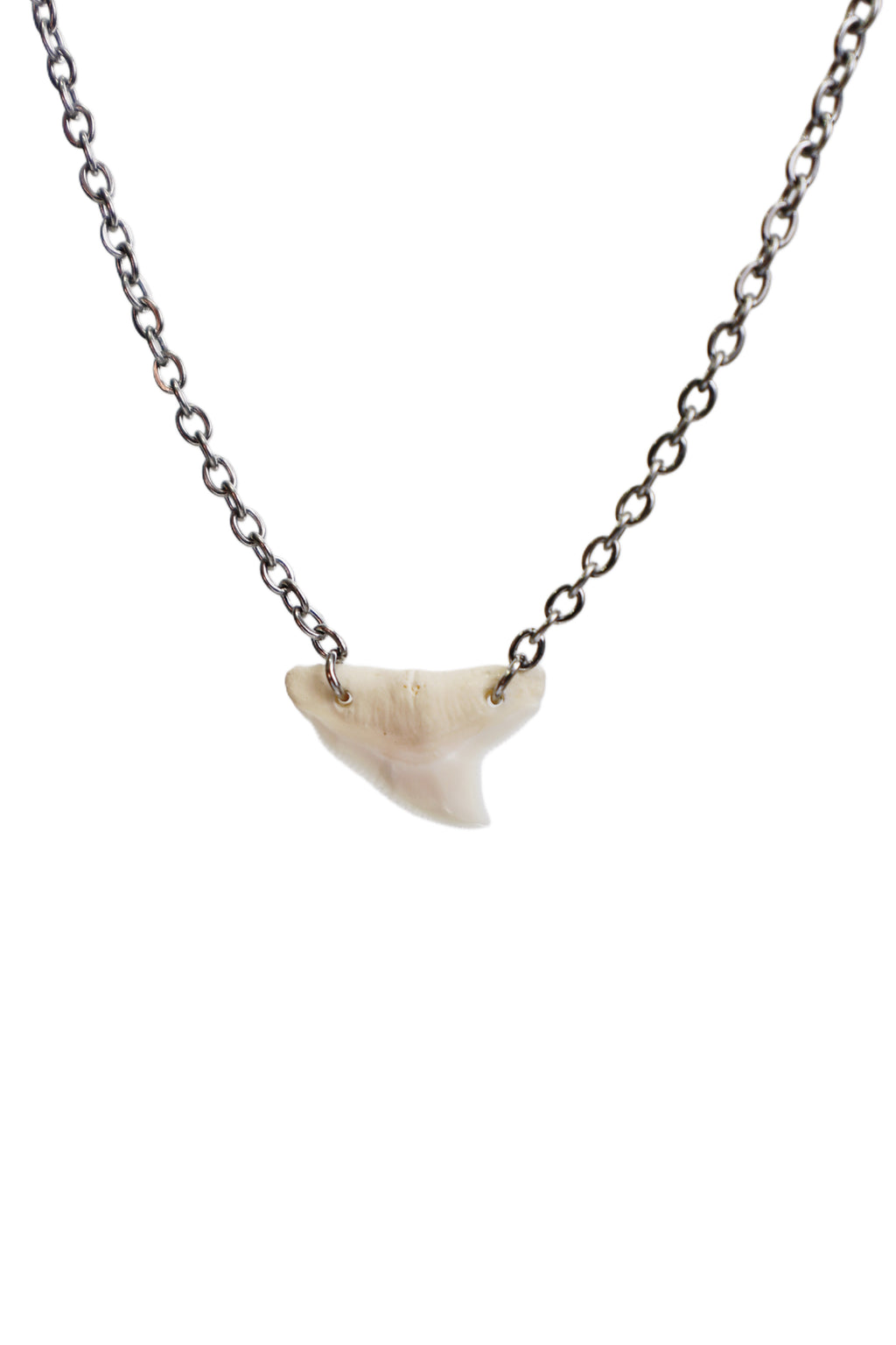 Double Drilled Shark Tooth Necklace