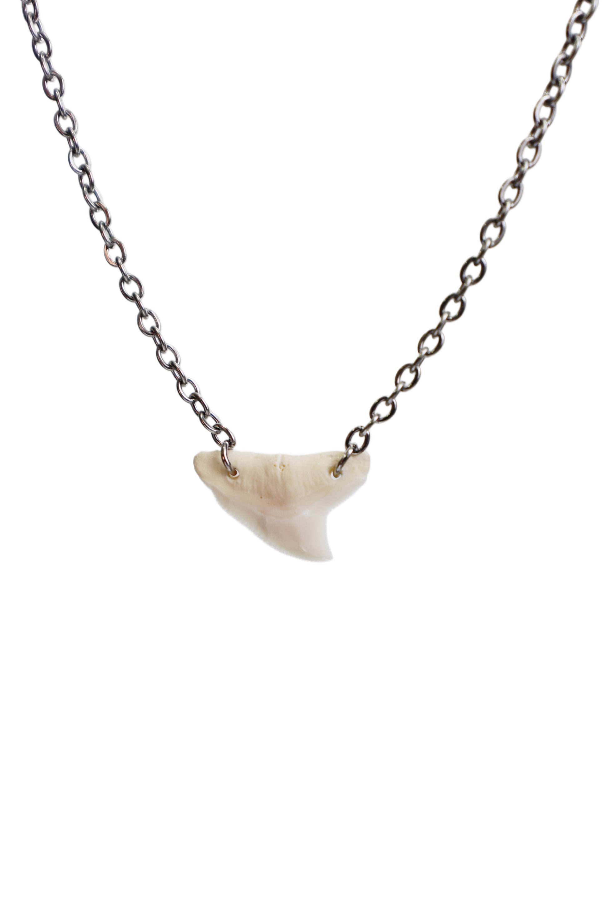 Double Drilled Shark Tooth Necklace