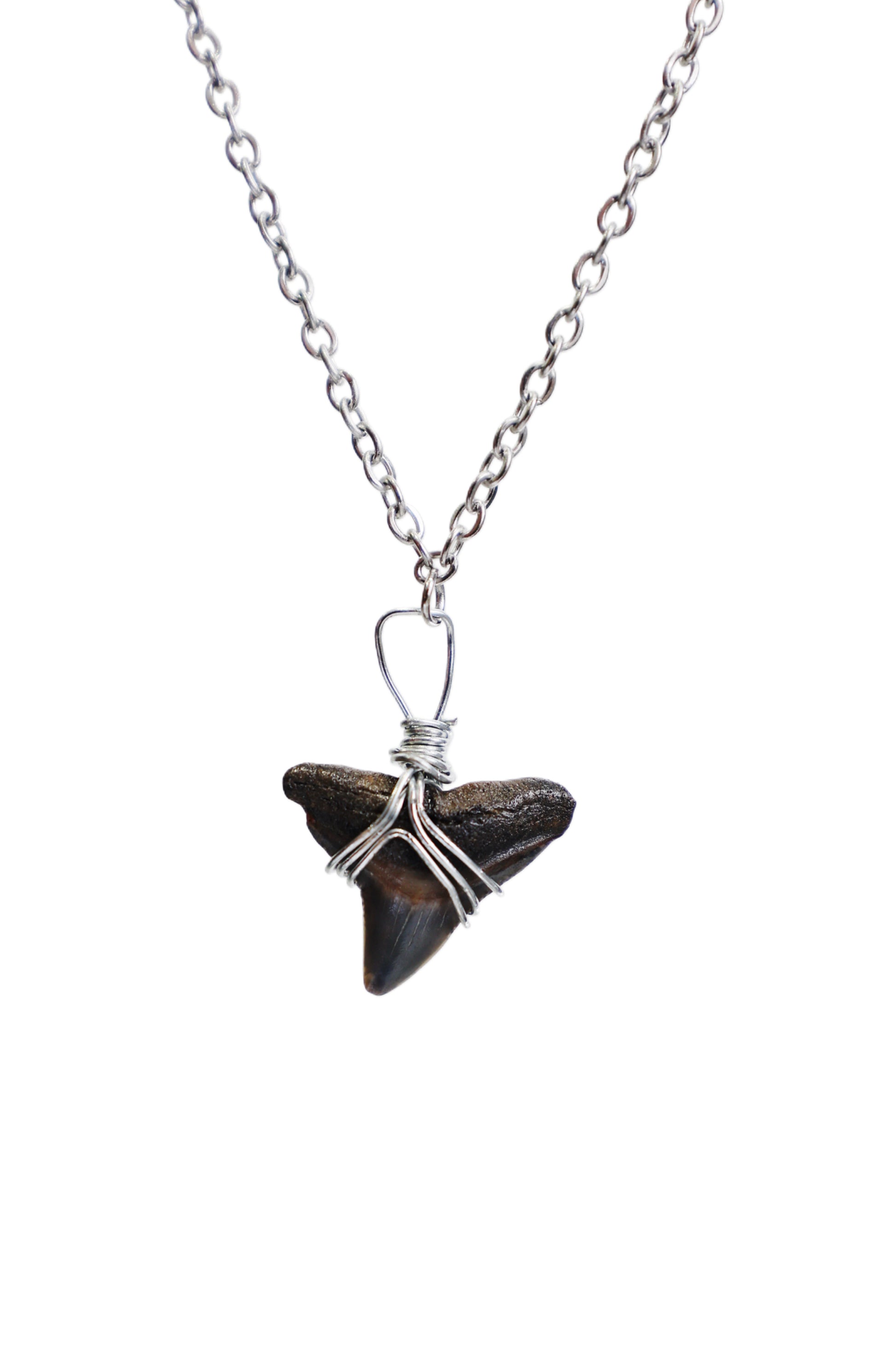 Hand Wrapped Shark Tooth Necklace