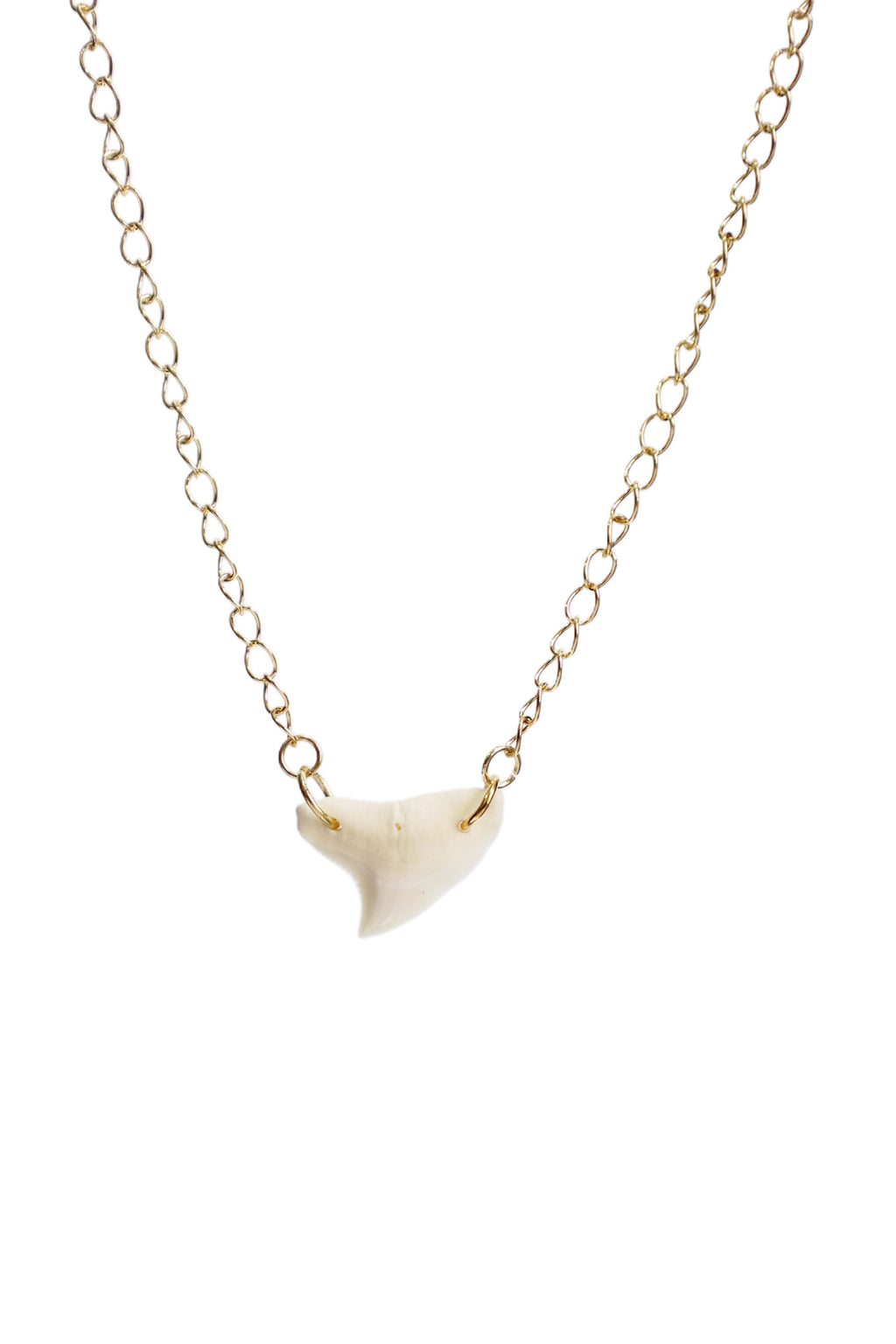 Double Drilled Gold Shark Tooth Necklace