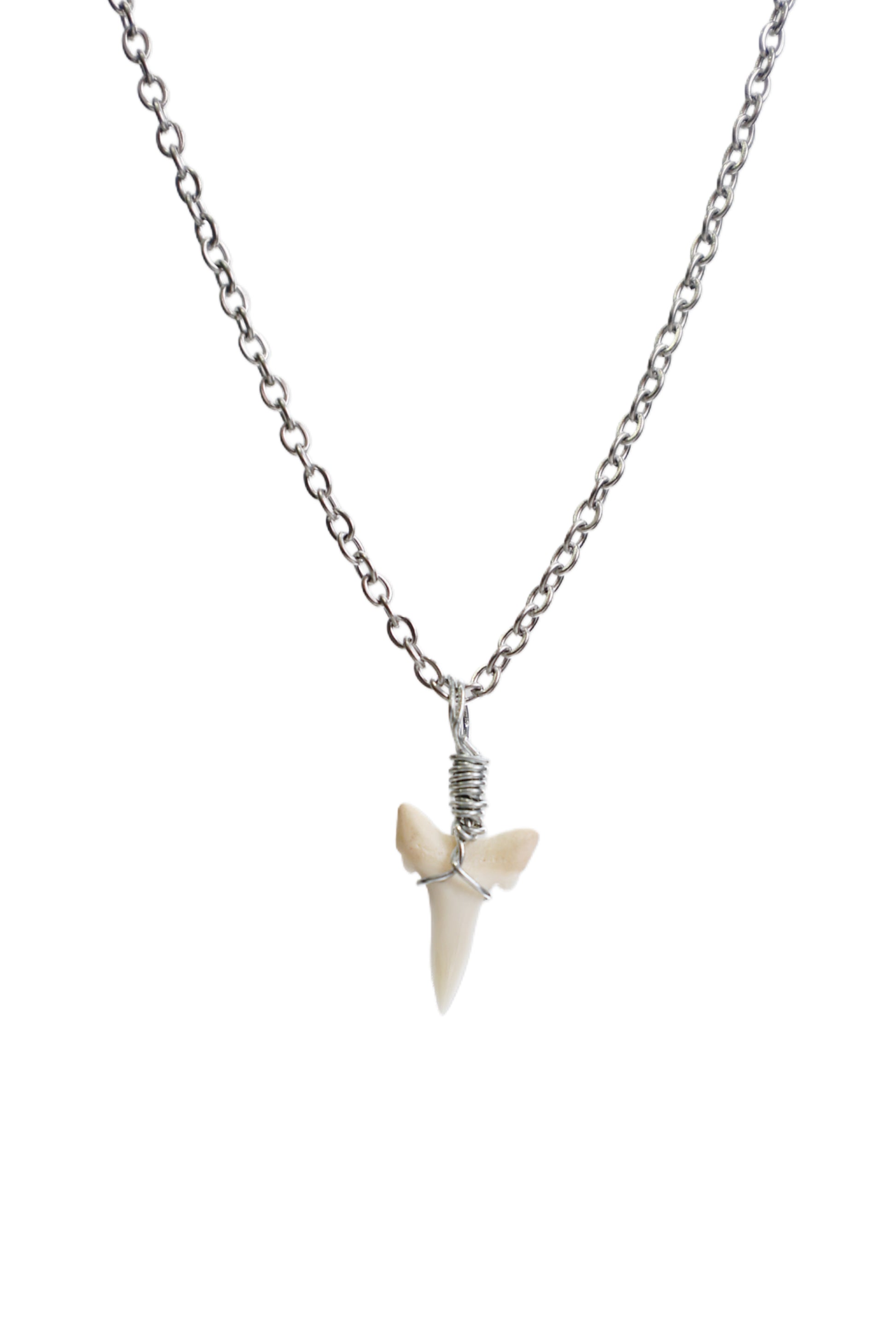 Link Cable - Shark Tooth Necklace