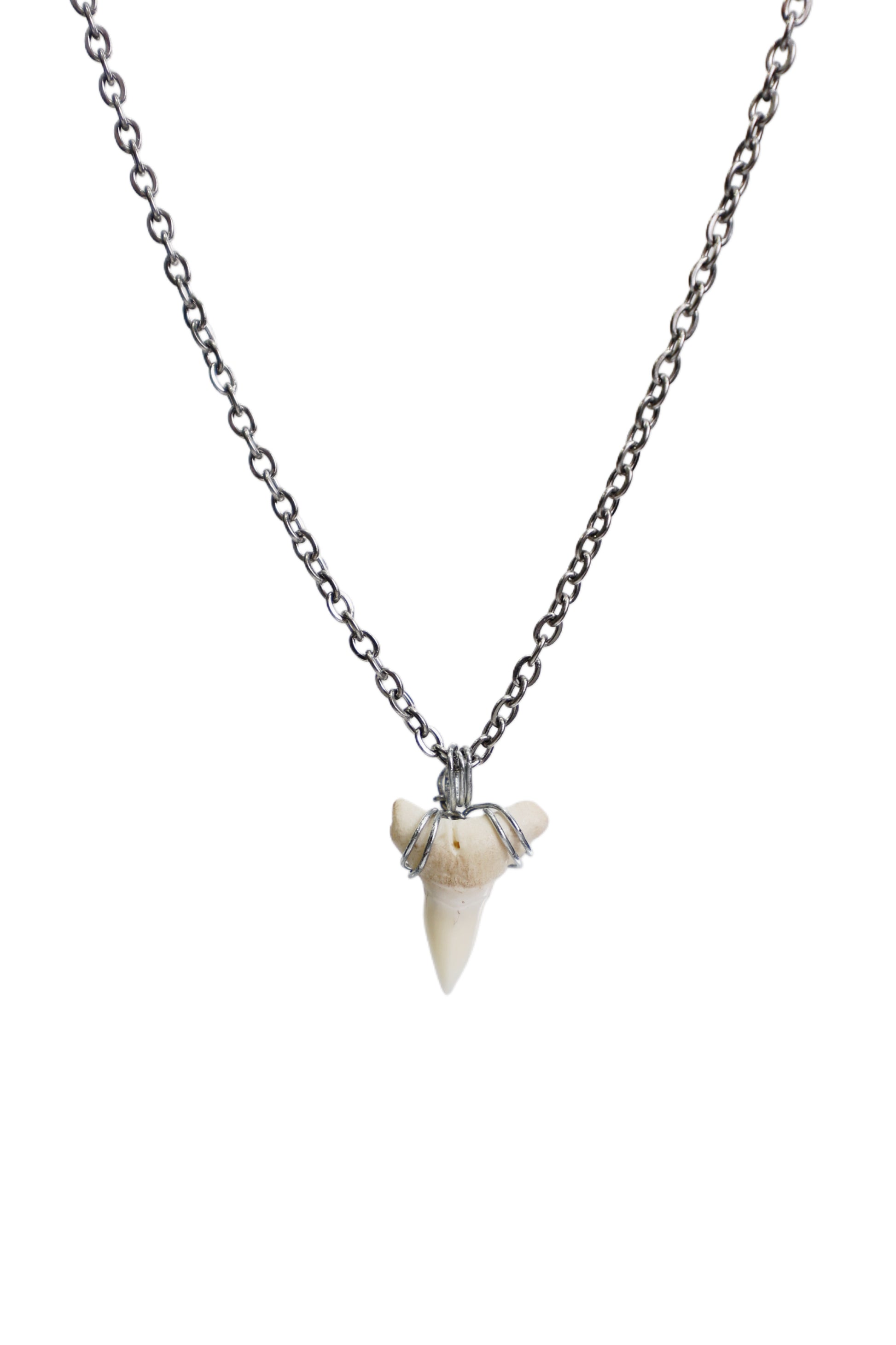 Link Cable - Shark Tooth Necklace