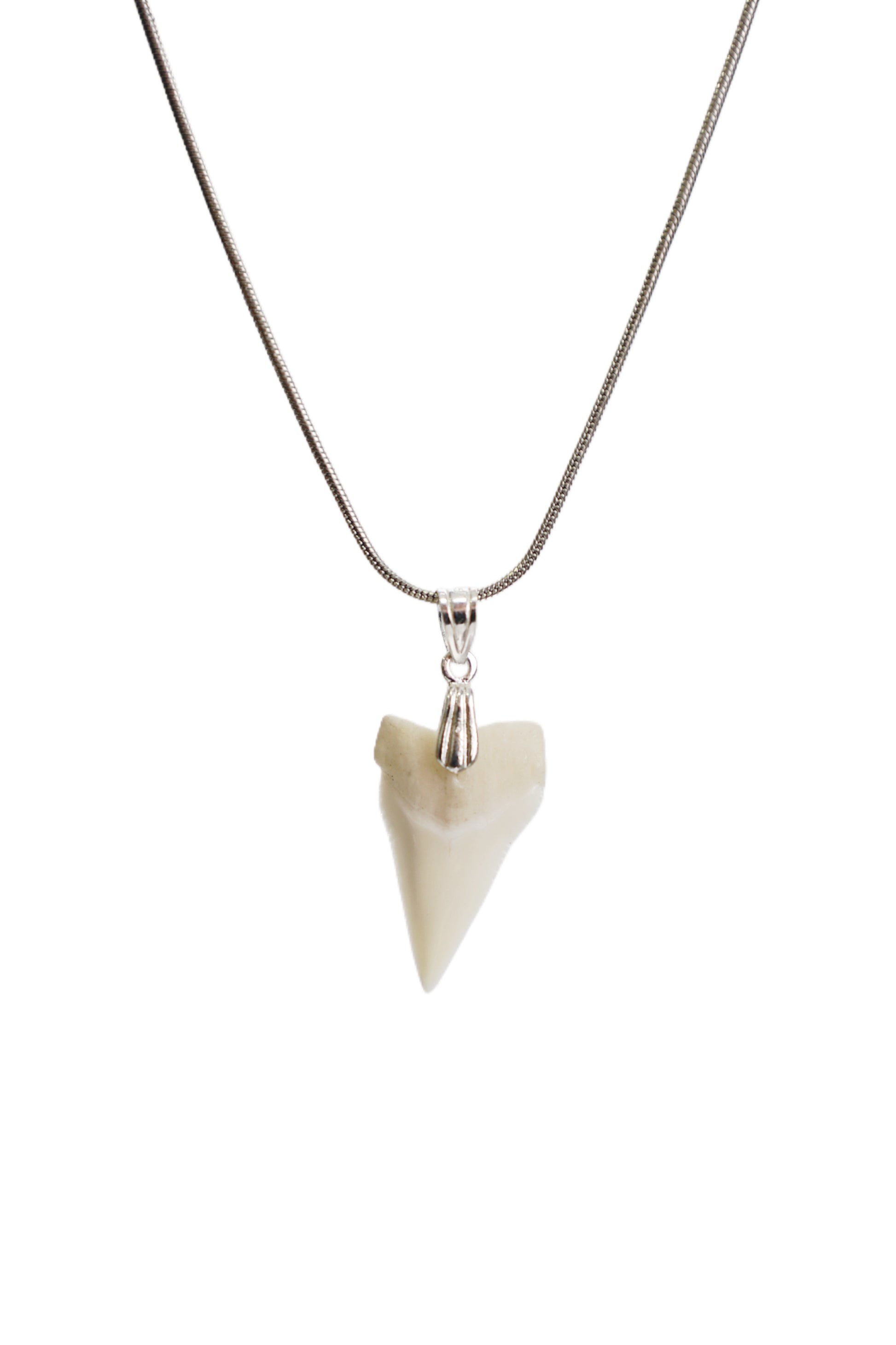 Classic Shark Tooth Necklace