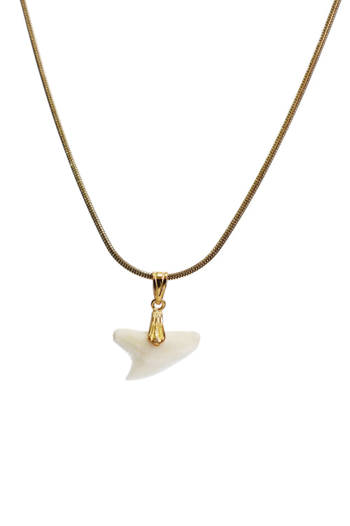 Classic Gold Shark Tooth Necklace