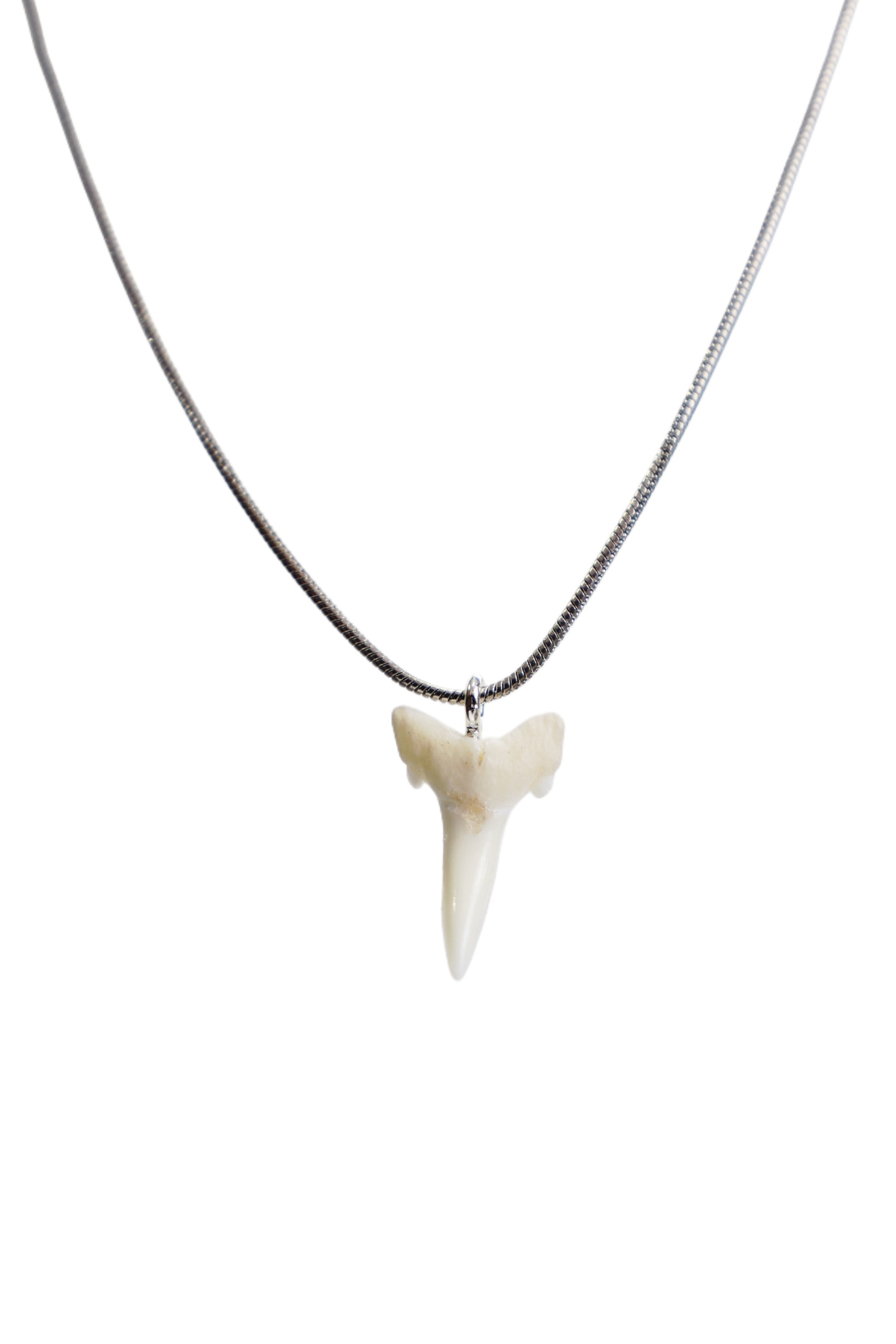 Snake Chain Shark Tooth Necklace