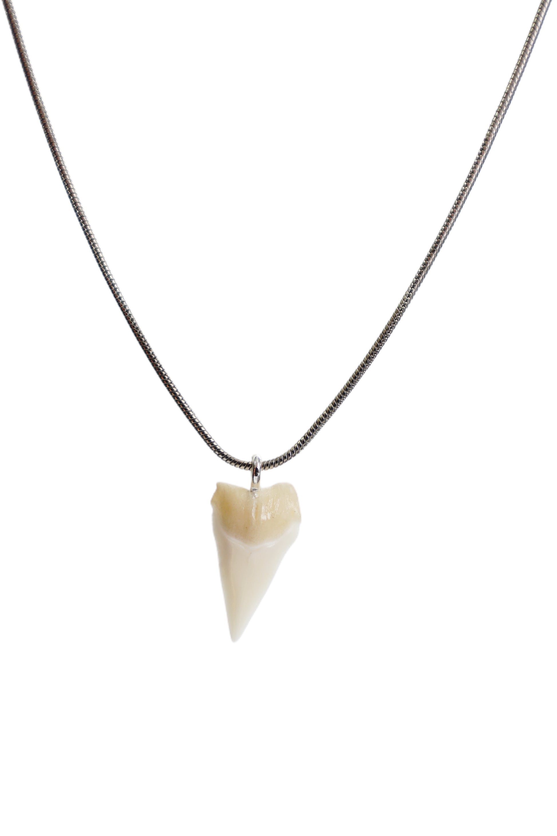 Snake Chain Shark Tooth Necklace