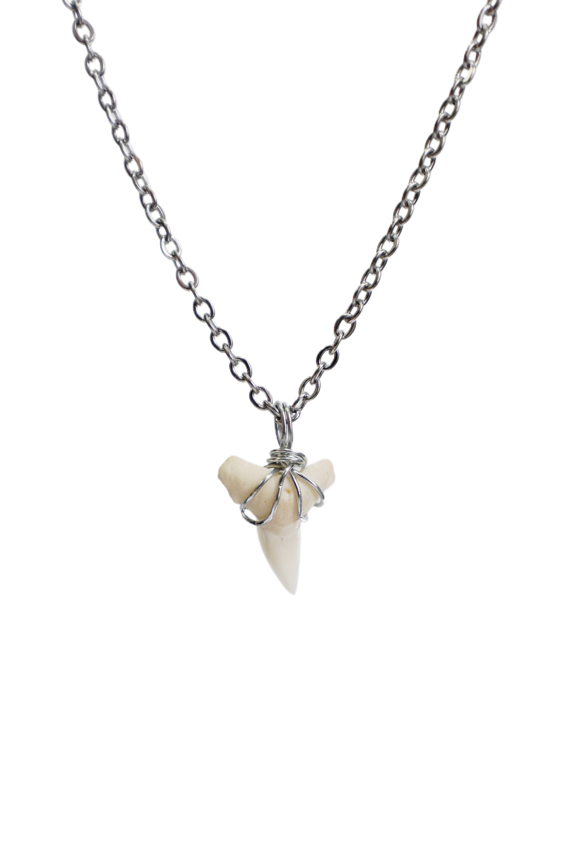Link Cable - Shark Tooth Necklace