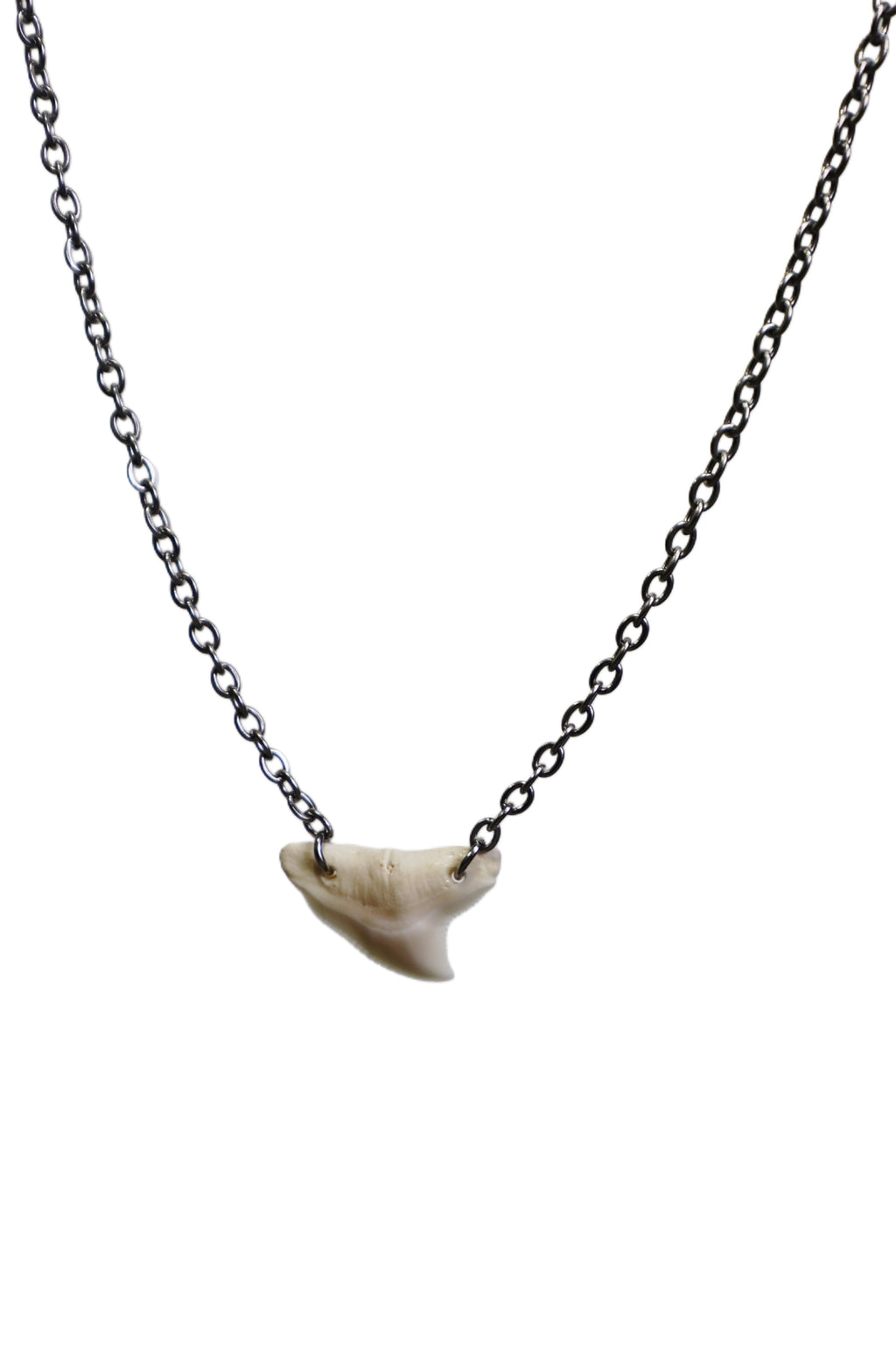 Double Drilled Shark Tooth Necklace