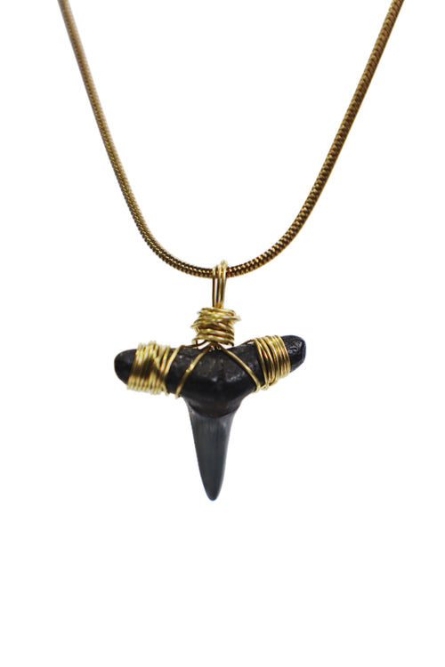 Gold Wrapped Shark Tooth Necklace (Snake Chain)