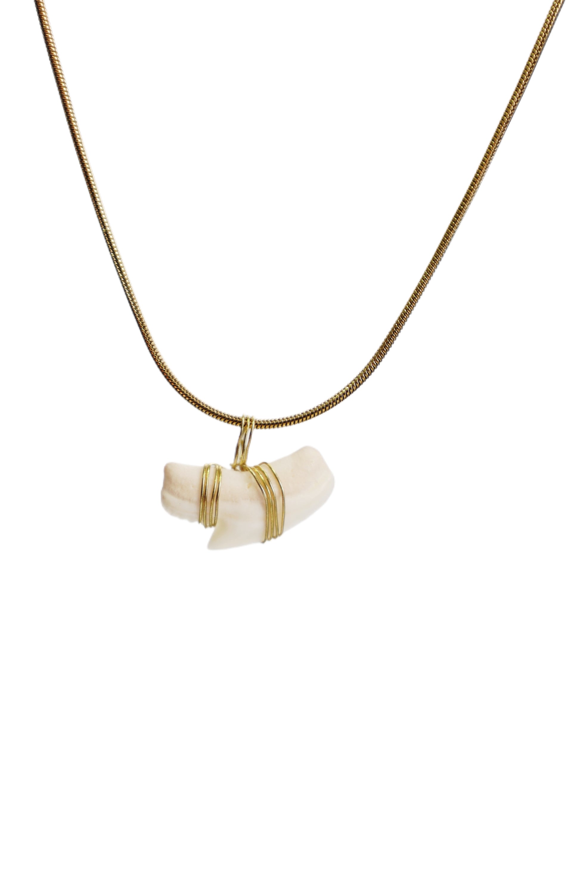 Gold Wrapped Tigers Tooth