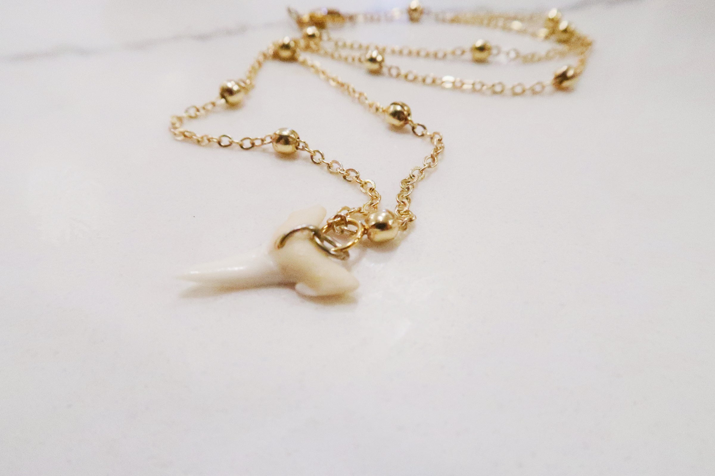 Puerto Rico 12/17/25