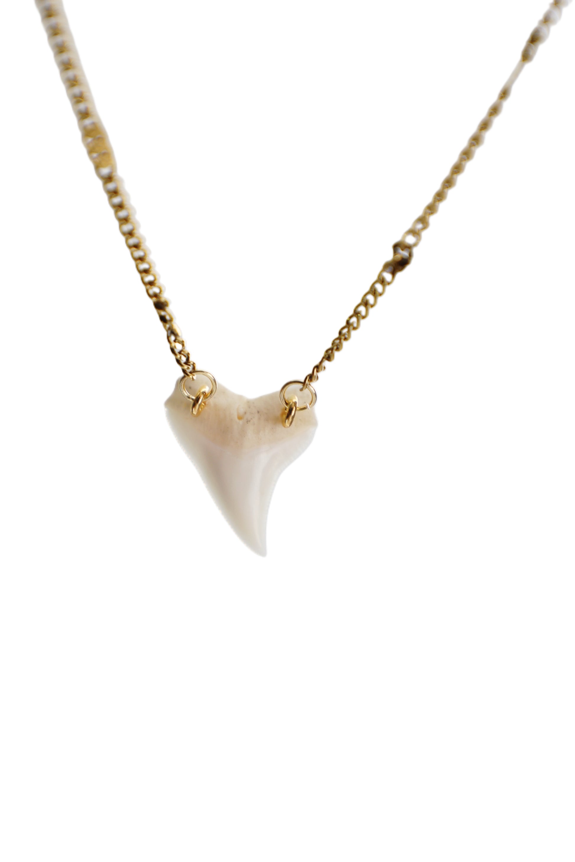 Double Drilled Shark Tooth Necklace