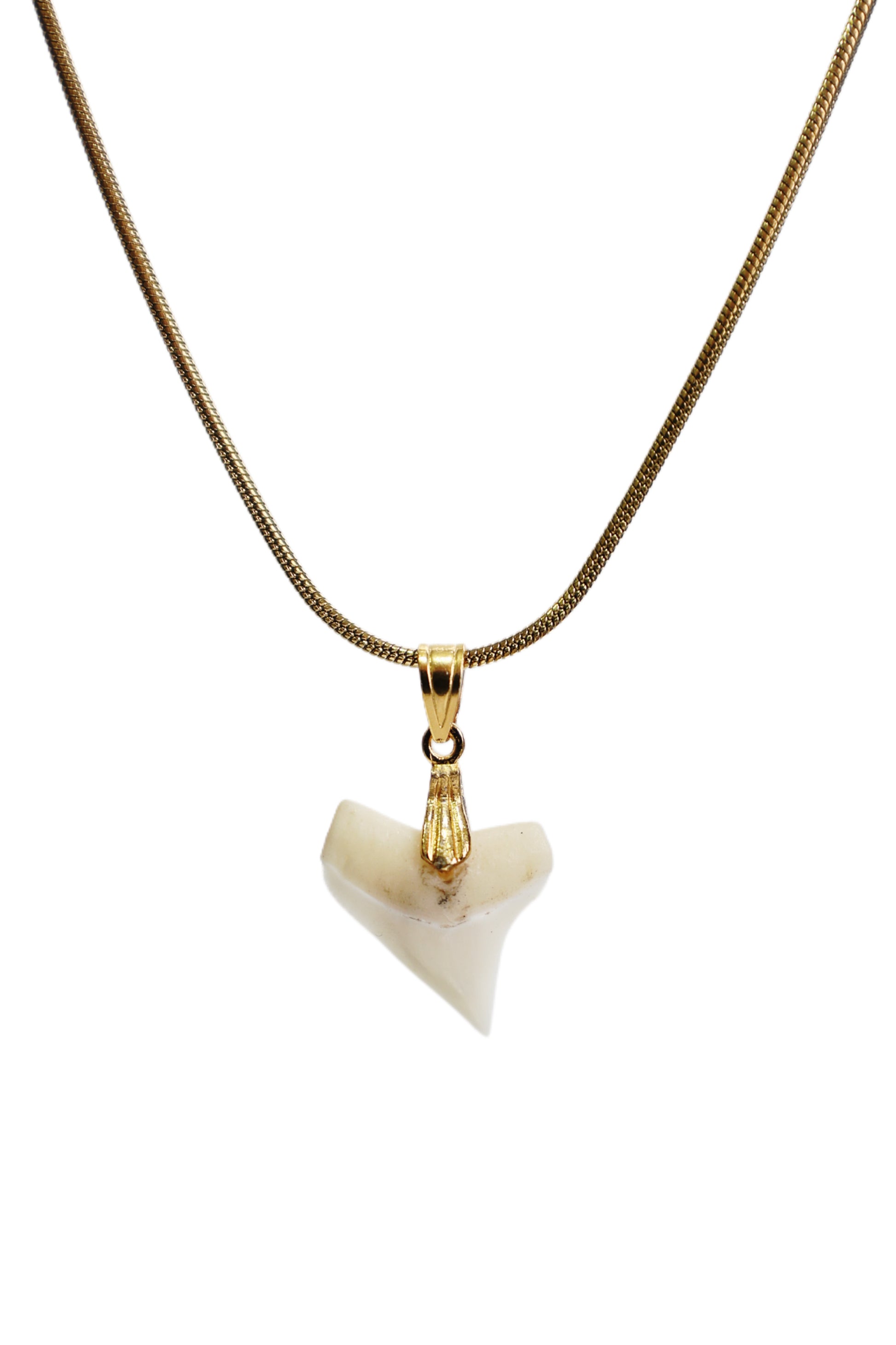 Classic Gold Shark Tooth Necklace