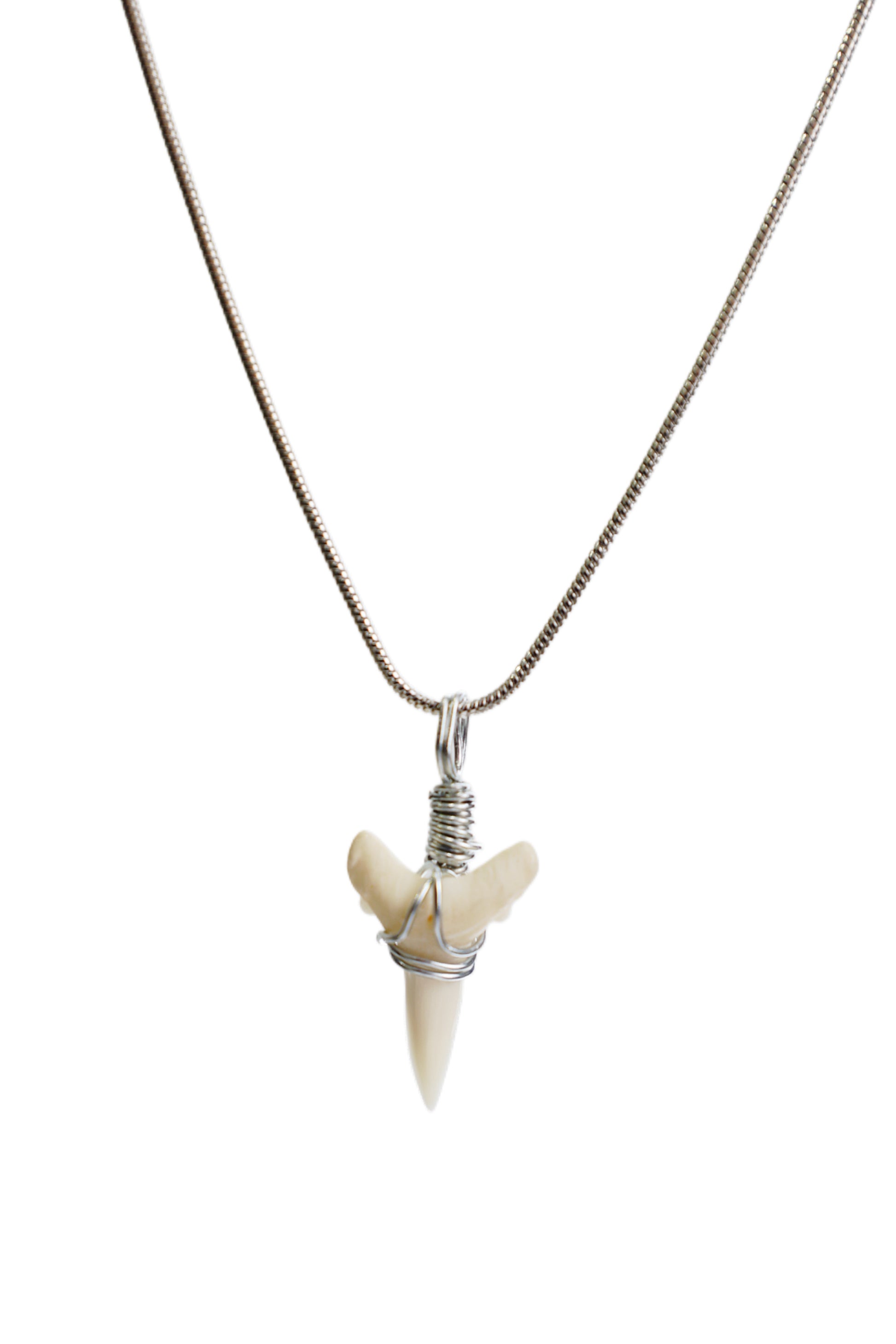 Classic Shark Tooth Necklace