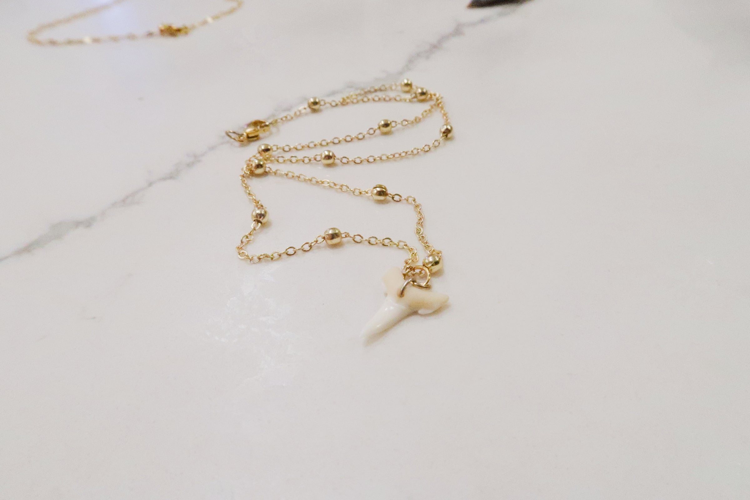 Puerto Rico 12/17/25